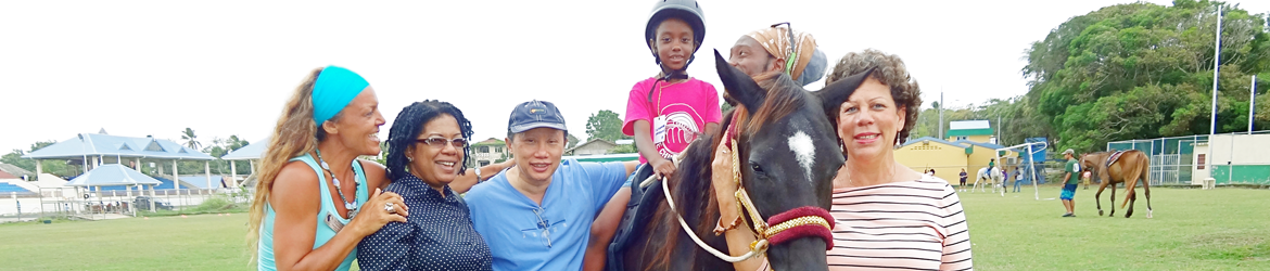 Healing with Horses Banner